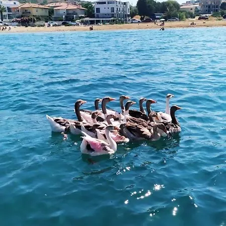Ege Fener Hotel Çeşme