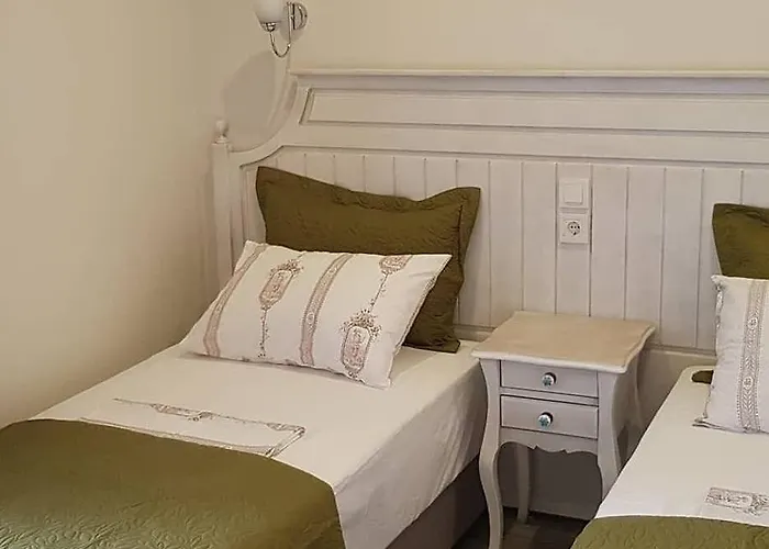 酒店 Ege Fener Çeşme